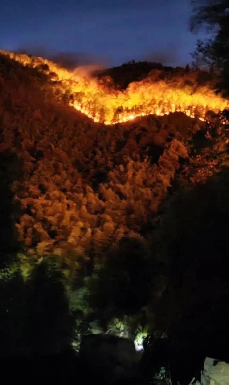 图片[31]-重庆山火刷屏，四川停电停水，千万人受灾：川渝人，真的太难了-瑷珂憬転