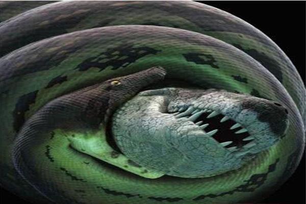 图片[5]-远古最可怕的五大巨蛇 沃那比蛇与泰坦蟒能直接生吞人类-瑷珂憬転