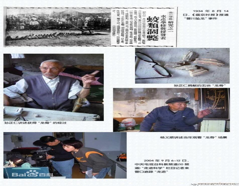 图片[2]-1934年辽宁营口坠龙，（揭秘坠龙历史事件最新解释）-瑷珂憬転