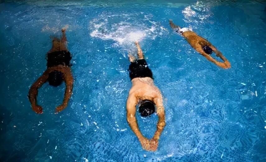 图片[2]-怎样游泳最减肥？（游泳的减肥效果）-瑷珂憬転