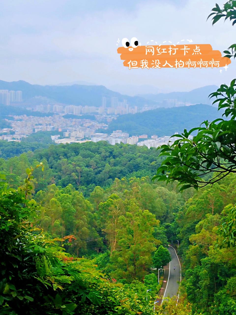 图片[5]-广州火炉山森林公园简易攻略（徒步线路图）-瑷珂憬転