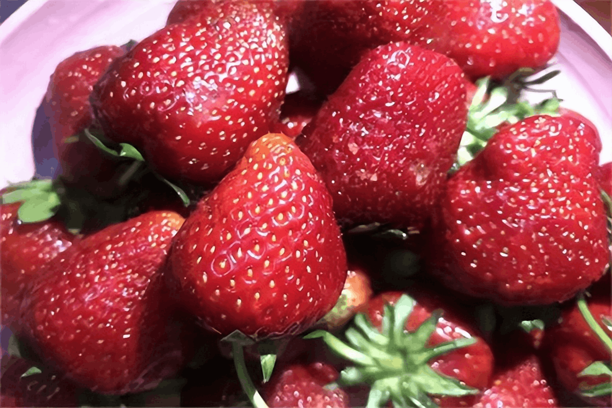图片[6]-称为“水果皇后”，草莓的营养价值及功效与作用-瑷珂憬転