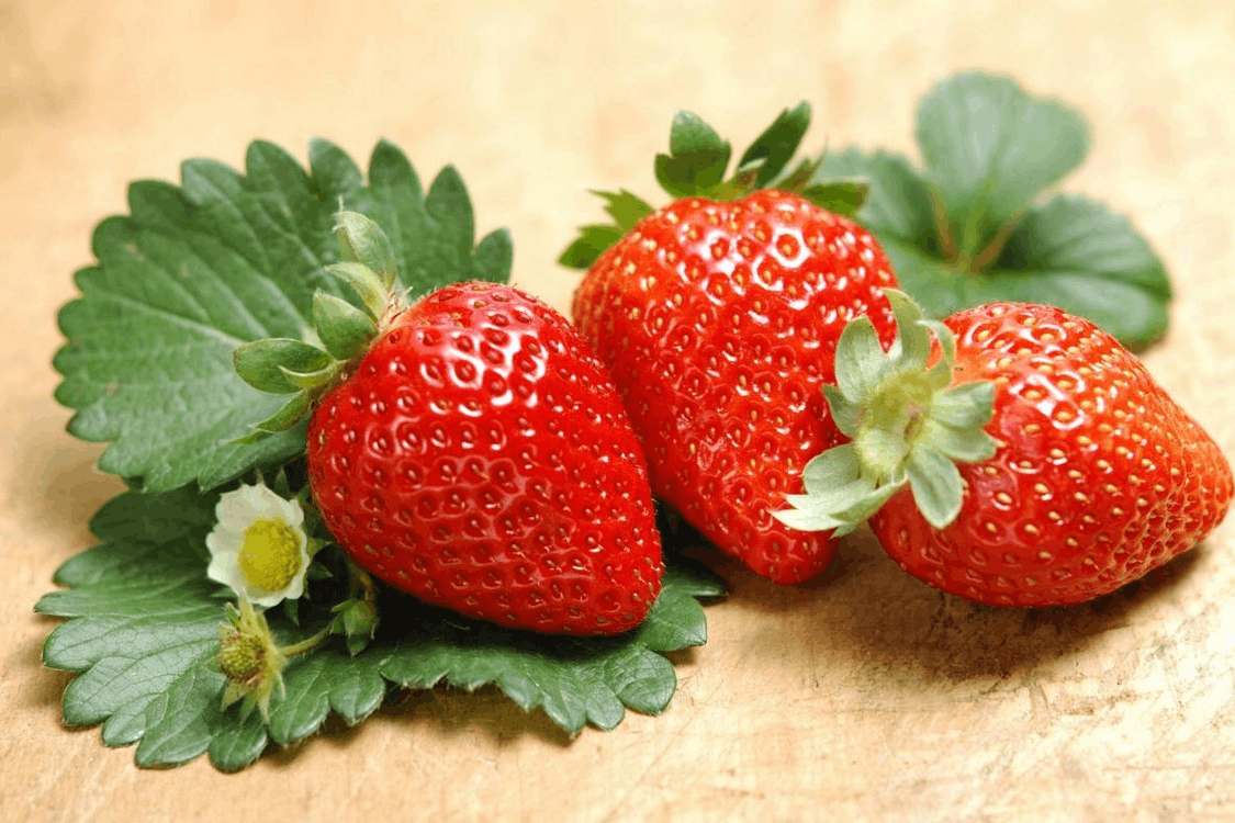图片[8]-称为“水果皇后”，草莓的营养价值及功效与作用-瑷珂憬転