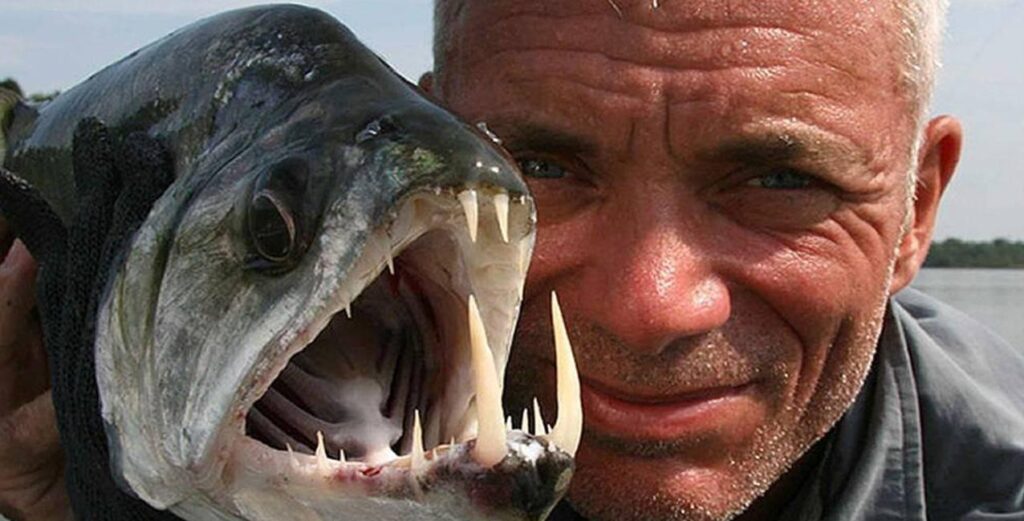 图片[10]-世界上最危险的10种鱼，（世界上十大恐怖的鱼）-瑷珂憬転