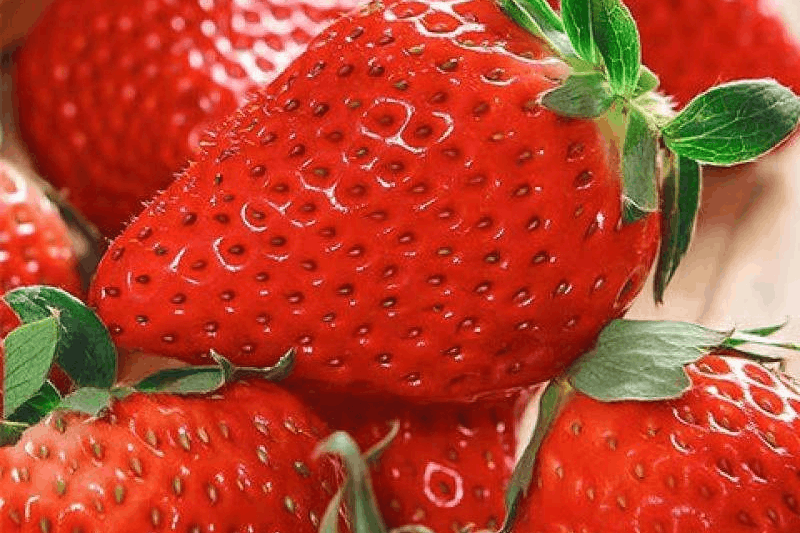 图片[1]-称为“水果皇后”，草莓的营养价值及功效与作用-瑷珂憬転