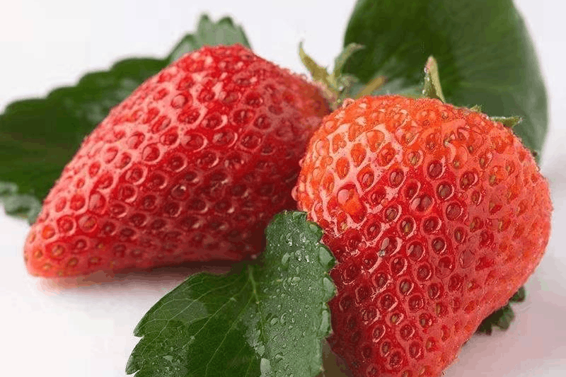 图片[3]-称为“水果皇后”，草莓的营养价值及功效与作用-瑷珂憬転